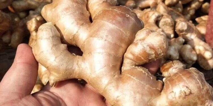 Ginger: How Nigeria’s beloved spice lost its heat