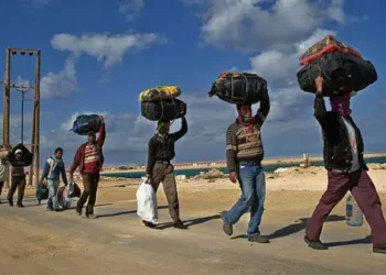 Why more Nigerians are returning from abroad